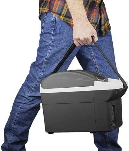 Heladera 8 Litros 12 V Frio / Calor